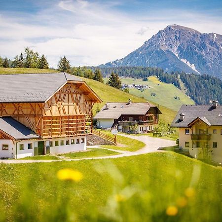 圣马蒂诺-因巴迪亚Agriturism Gscnara公寓 外观 照片