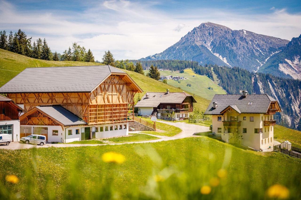 圣马蒂诺-因巴迪亚Agriturism Gscnara公寓 外观 照片
