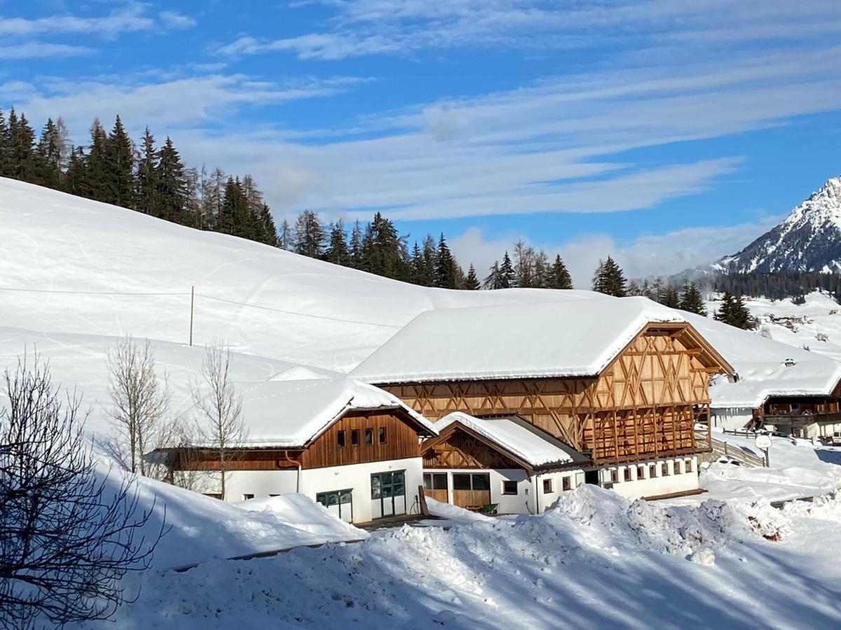 圣马蒂诺-因巴迪亚Agriturism Gscnara公寓 外观 照片
