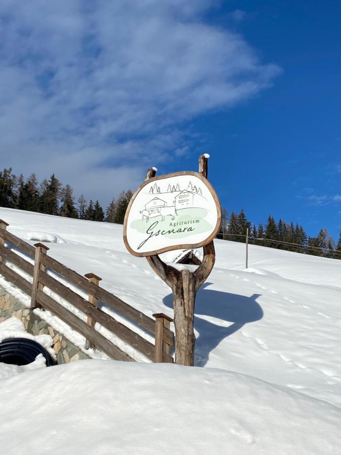 圣马蒂诺-因巴迪亚Agriturism Gscnara公寓 外观 照片