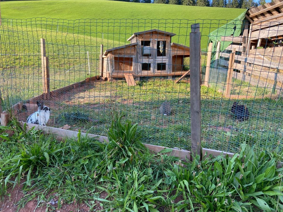 圣马蒂诺-因巴迪亚Agriturism Gscnara公寓 外观 照片